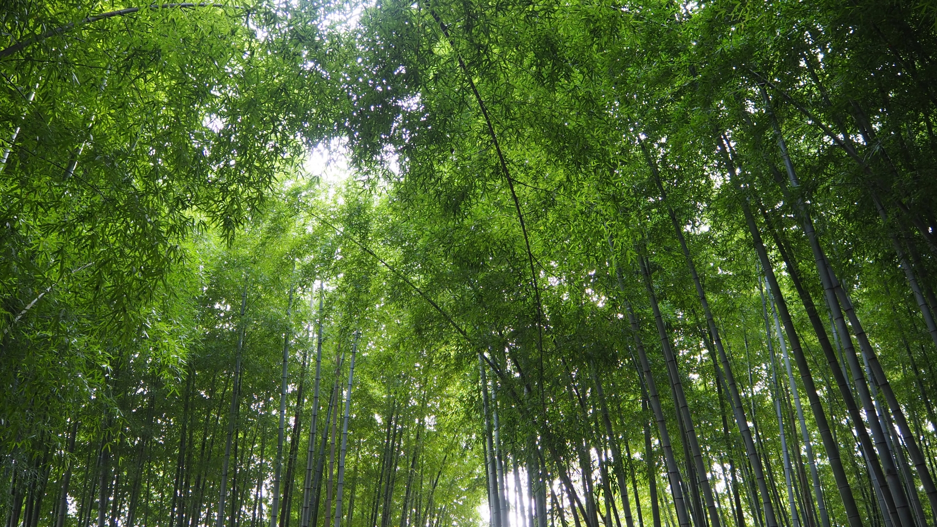 就労支援事業者様との連携について